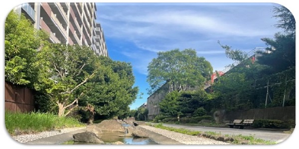 行なえること①カウンセリング